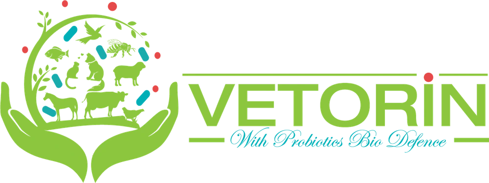 Vetorin
