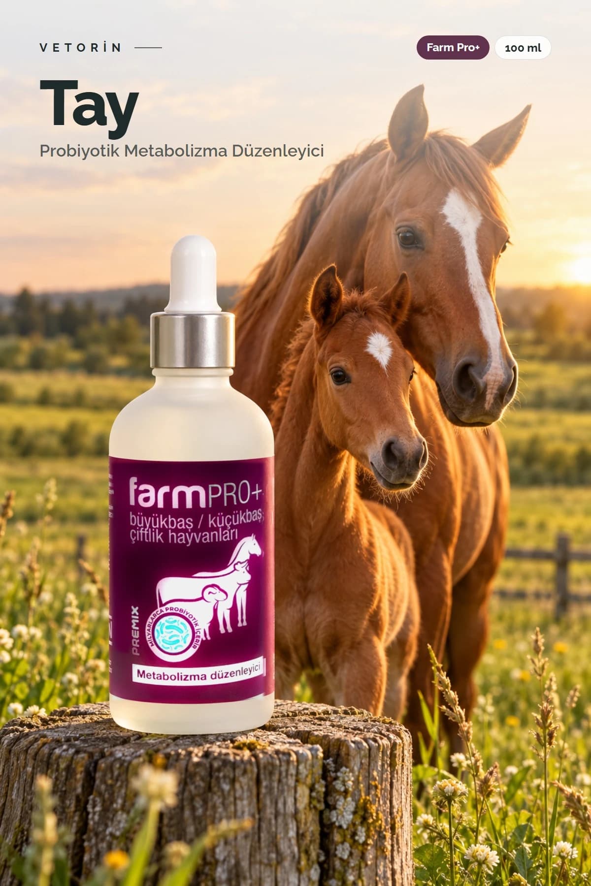 Probiyotikli Tay Metabolizma Düzenleyici 100 ml Farm Pro+, 1. görsel