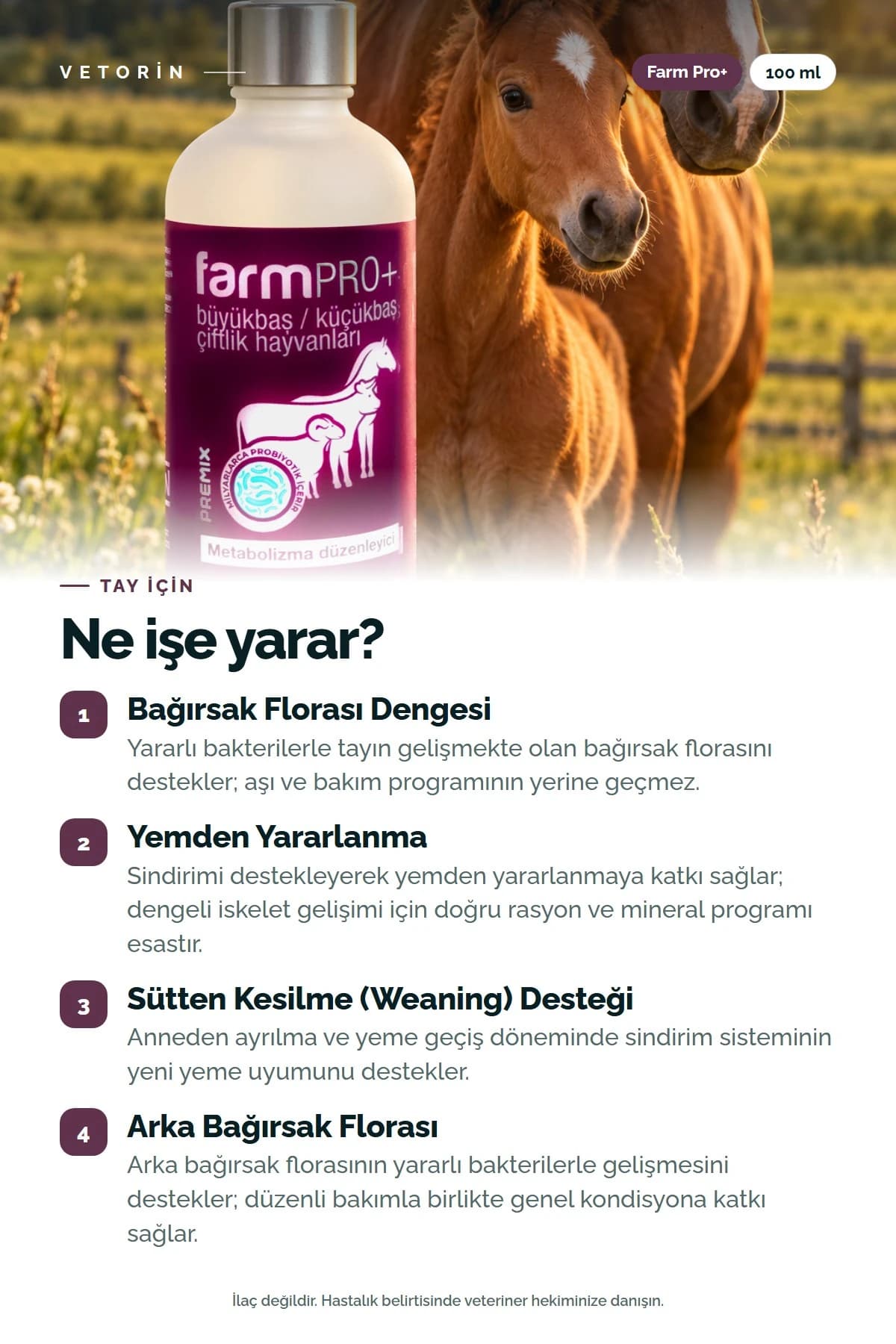 Probiyotikli Tay Metabolizma Düzenleyici 100 ml Farm Pro+, 2. görsel