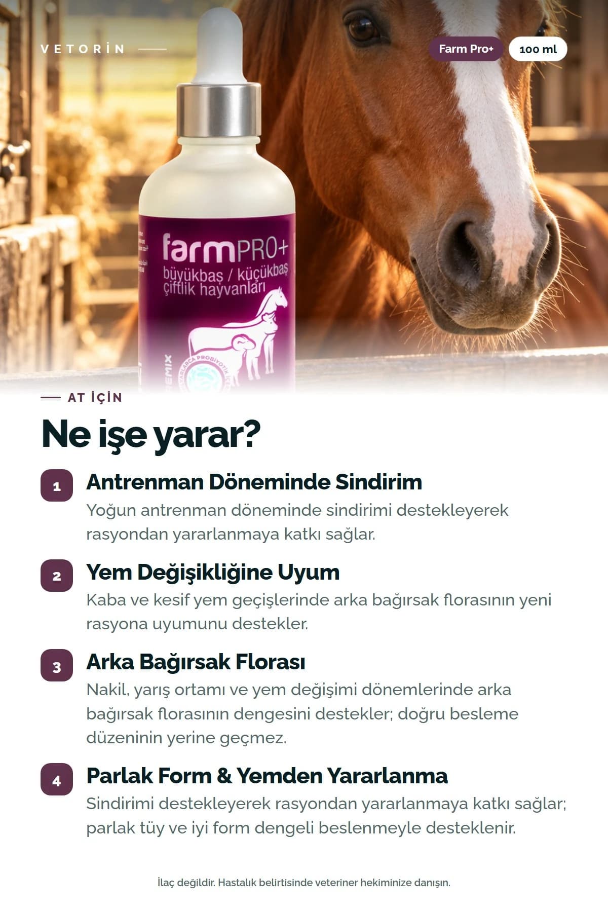 Probiyotikli At Metabolizma Düzenleyici 100 ml Farm Pro+, 2. görsel